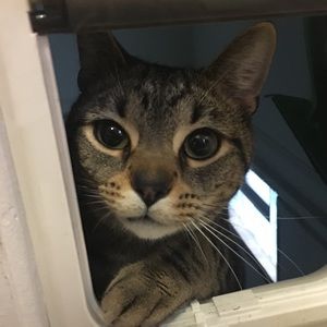 Meet your Posher, Jimmy